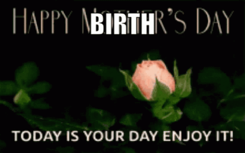 Birthday Card With Pink Rose GIF