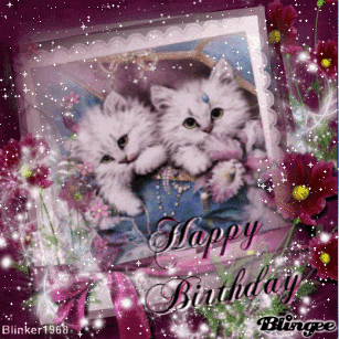 Birthday Card With Two White Kittens and Happy Birthday