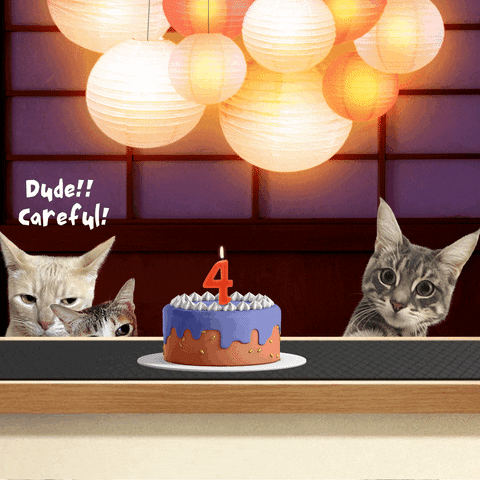 Birthday Cat Funny Conversation GIF