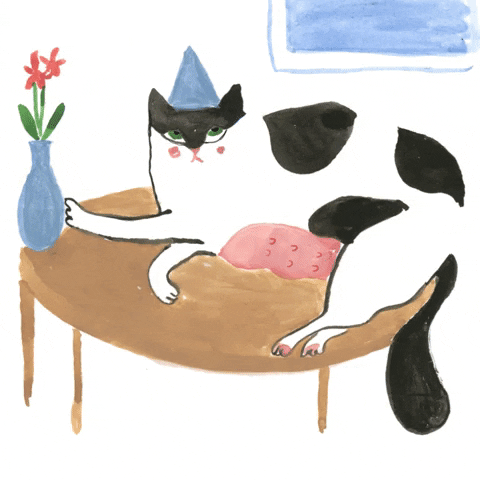 Birthday Cat Illustration Art GIF