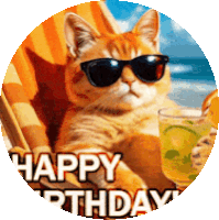 Birthday Cat Sticker GIF