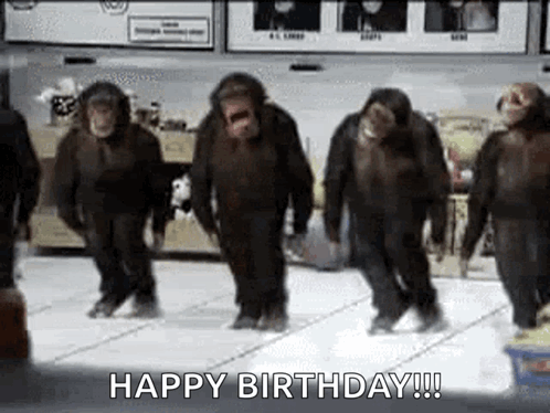 Birthday Dance Chimpanzee Syncronized Footwork GIF