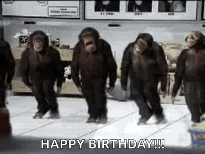 Birthday Dance Chimpanzee Syncronized Footwork GIF