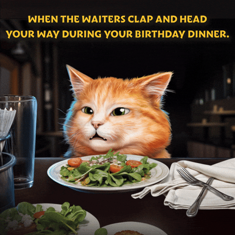 Birthday Dinner On A Funny Holiday GIF