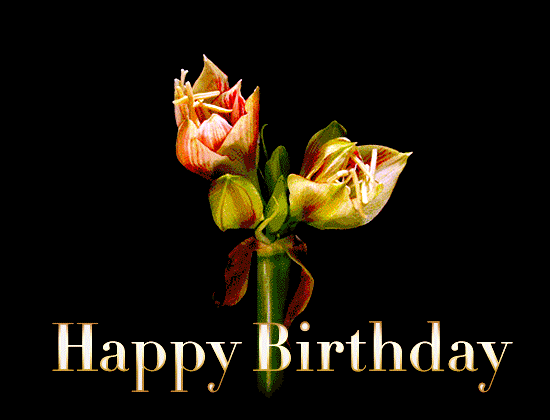 Birthday Flowers Blooming Happy Birthday GIF