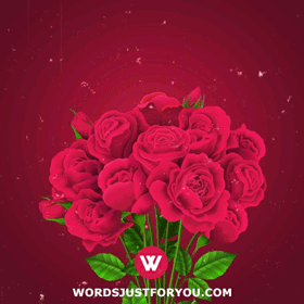 Birthday Flowers Red Roses Happy Birthday GIF