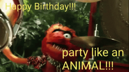 Birthday Funny 498 X 280 Gif GIF