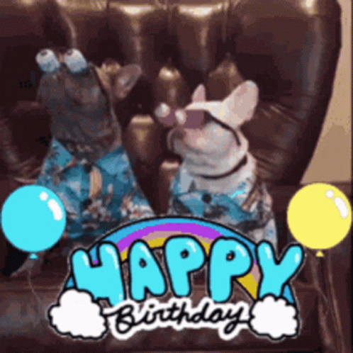 Happy Birthday Funny Pug GIF