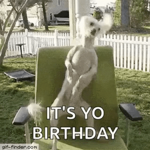 Birthday Funny GIF