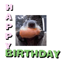 Birthday Geburtstag Sticker GIF