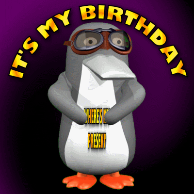 Birthday Month Penguin Looking For Present GIF