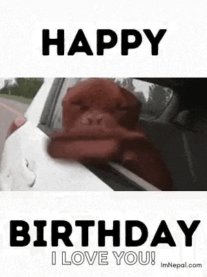 Birthday Wishes Birthday For Dog Lovers Gif GIF