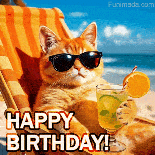 Birthday Wishes Happy Birthday Wishes Gif GIF