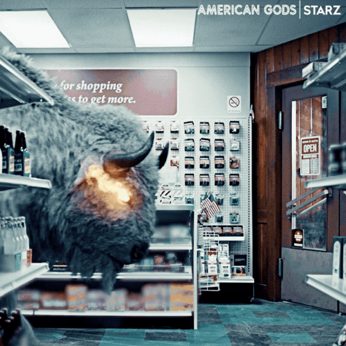 Bison In Grocery Store GIF