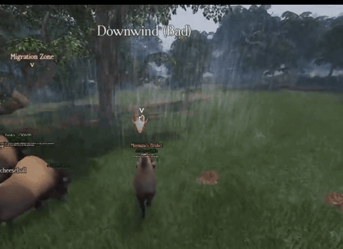 Bison Named Cheeseball In The Rain GIF
