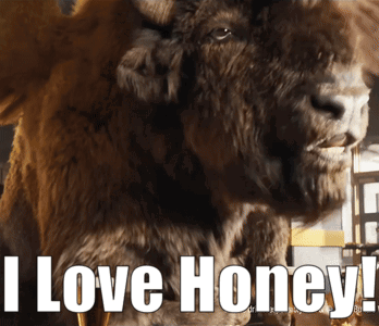 Bison With I Love Honey