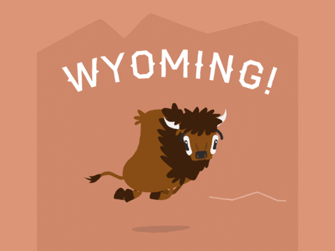 Bison Wyoming Running Fast GIF
