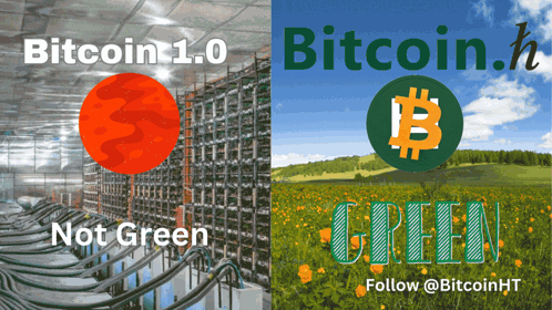 Bitcoin 1.0 Not Green Poster