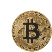 Bitcoin Bitcoins Sticker GIF