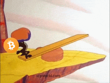 Bitcoin Seesaw Wile Coyote GIF