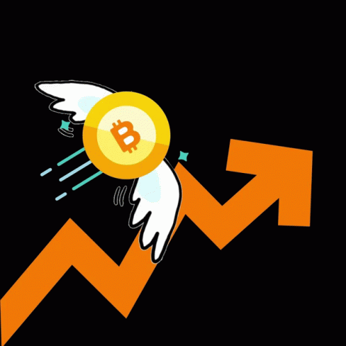 Bitcoin With Wings And Arrow Going Up GIF