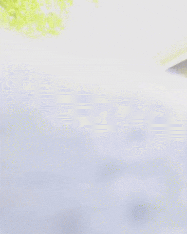 Bite Moving Cat GIF