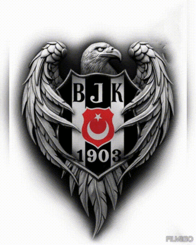 BJK 1903 Black White Eagle Feathers Logo