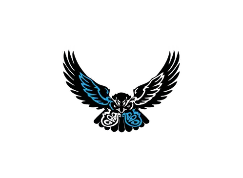 Black and Blue Bird Flying