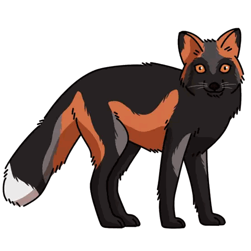 Black and Orange Fox with Orange Eyes