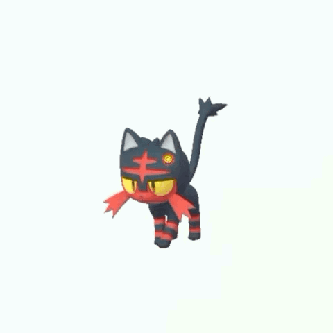 Black and Red Cat with Yellow Eye Walking