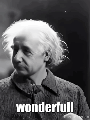 Black and White Albert Einstein Saying Wonderful