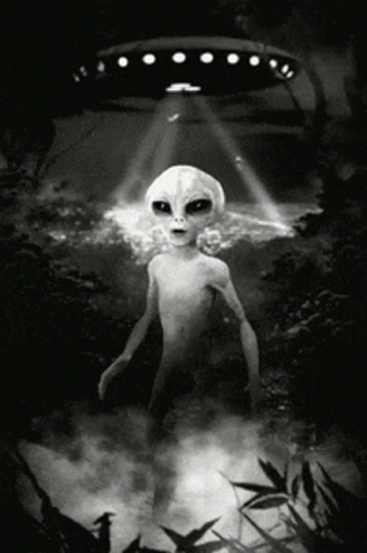 Black And White Alien Standing In Front Of UFO GIF