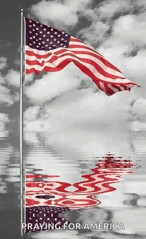 Black and White American Flag Waving Reflection