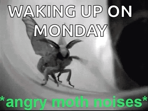 Black And White Angry Moth Waking Up Monday GIF