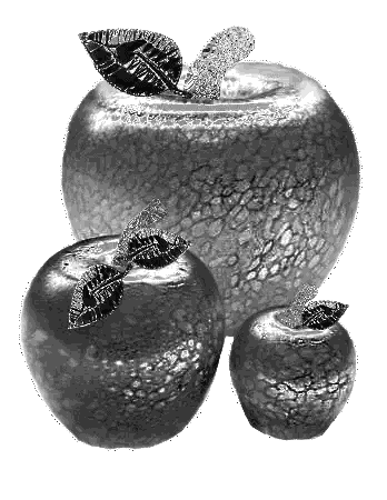 Black And White Apples With Silver Leaves