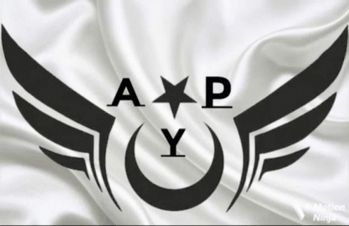 Black And White APY Logo GIF