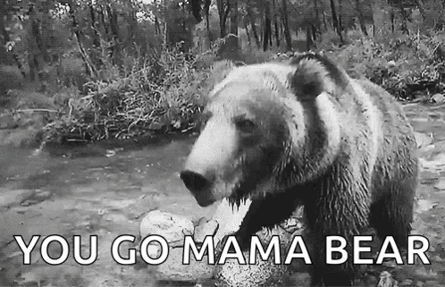Black And White Bear In River You Go Mama Bear GIF
