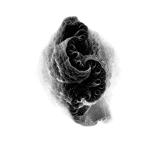 Black and White Brain Drawing