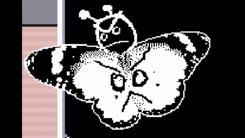 Black And White Butterfly With Face GIF