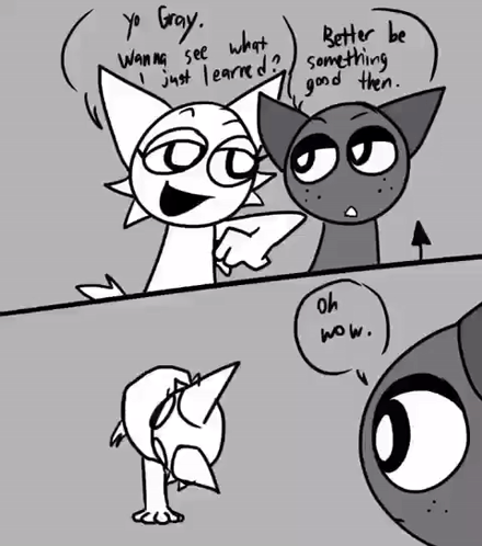 Black And White Cat And Bird Talking GIF