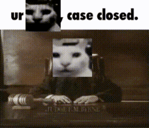 Black and White Cat Behind Judge Bench Saying Case Closed