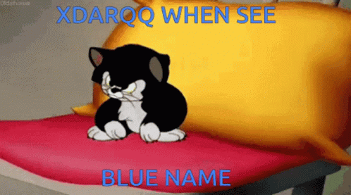 Black And White Cat By Yellow Pillow Saying Xdarq When See Blue Name GIF
