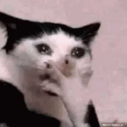 Black and White Cat Crying Covering Face