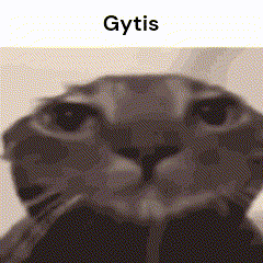 Black and White Cat Face With Gytis