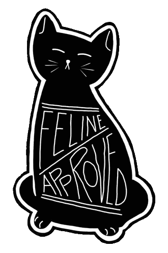 Black and White Cat Feline Approved
