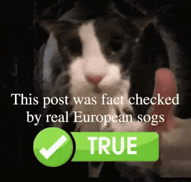 Black And White Cat Held In Hand GIF