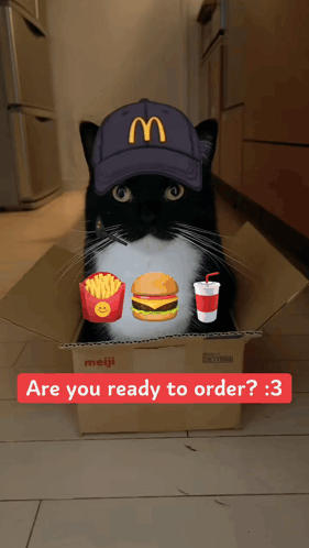 Black and White Cat in McDonald's Hat in Cardboard Box