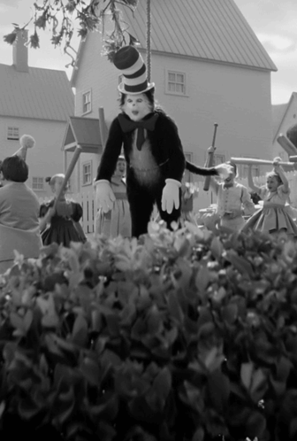 Black and White Cat in Top Hat