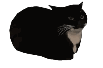 Black and White Cat Laying Down