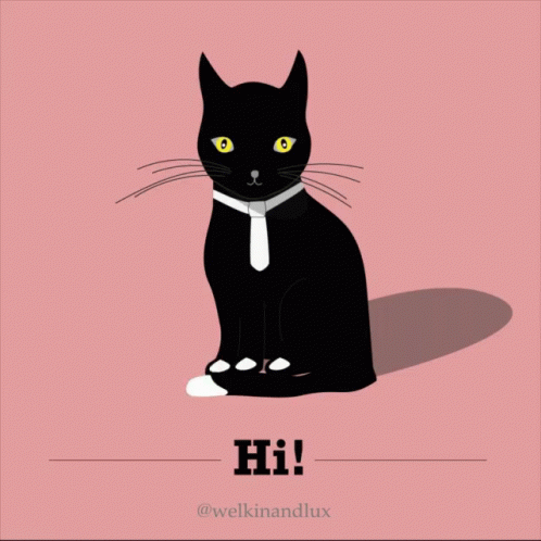 Black And White Cat Laying On Bed Saying Lazy Day GIF